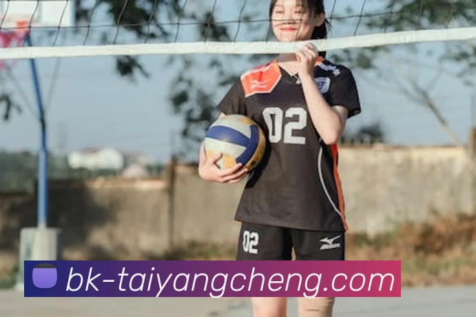 澳门太阳城平台生态图